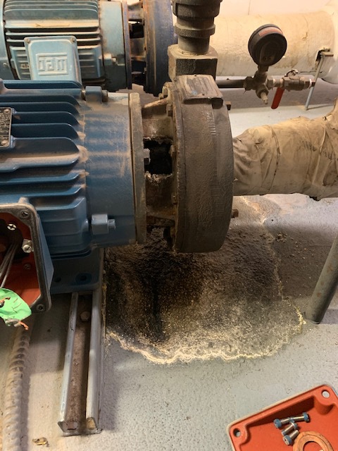 Peerless seal leaking and noisy motor – complete rebuild
